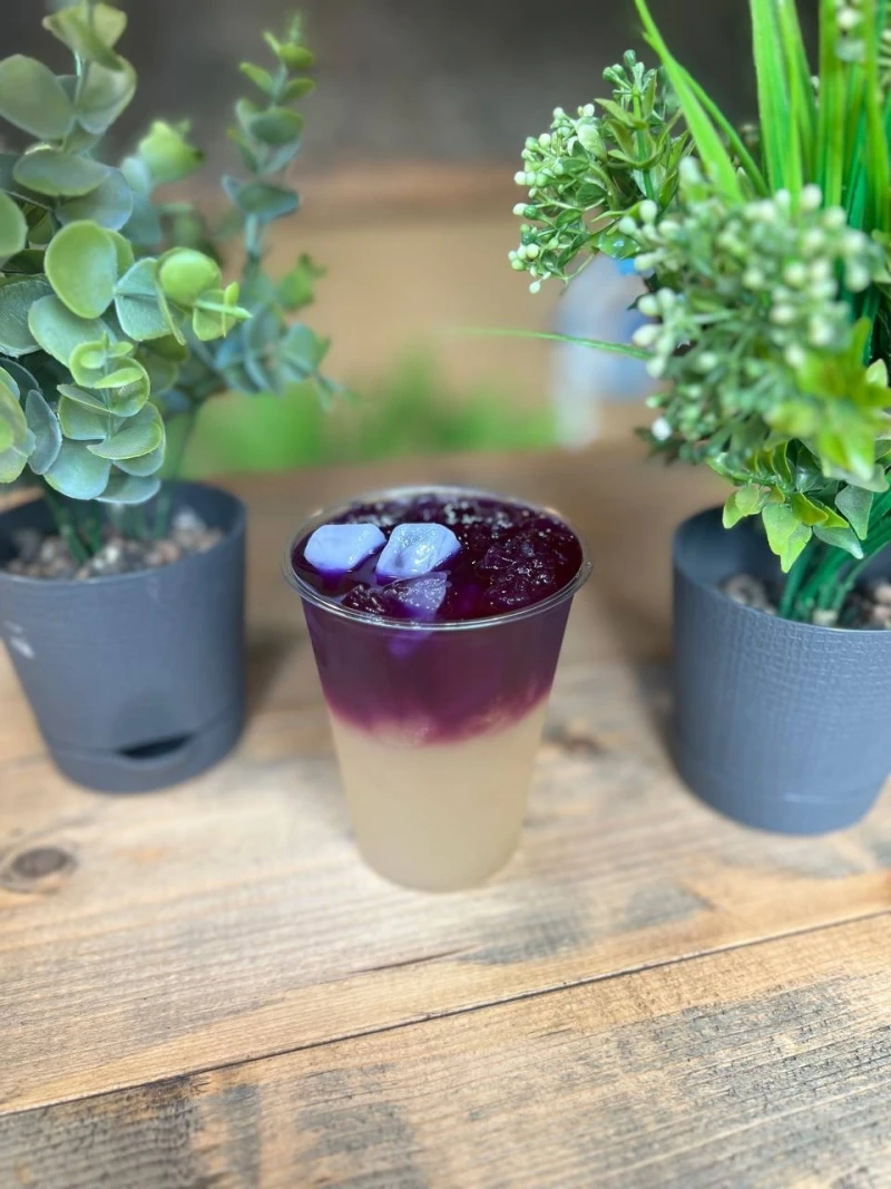 Тропический анчан Больш.