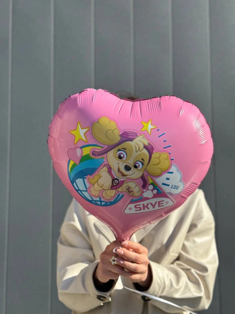 Фольгированный шар "SKYE" (45см)