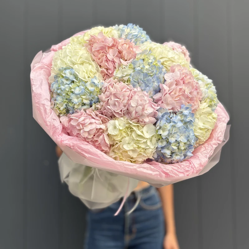 Букет из 13 гортензий (Премиум)