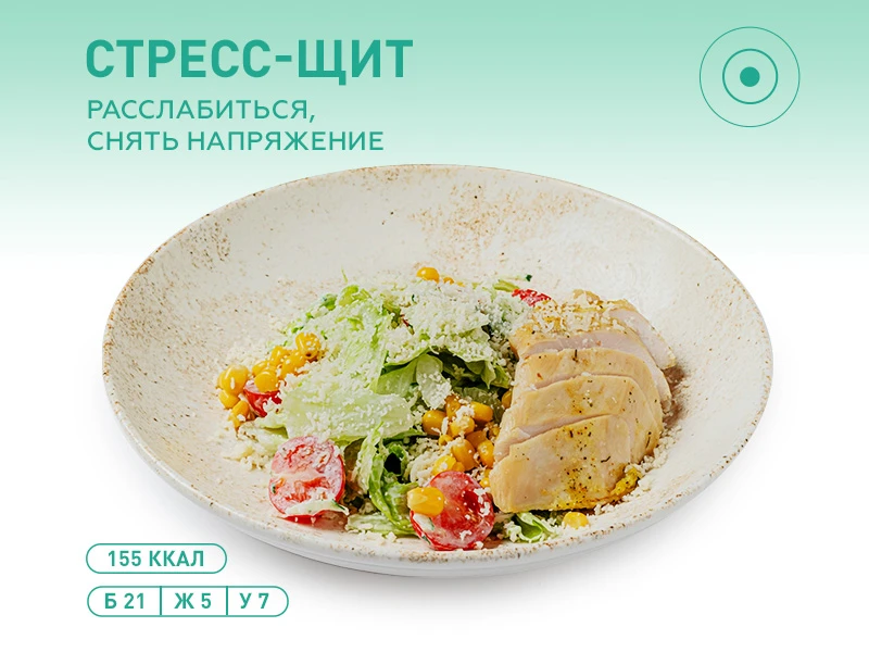 Салат с курицей и соусом Дзадзики