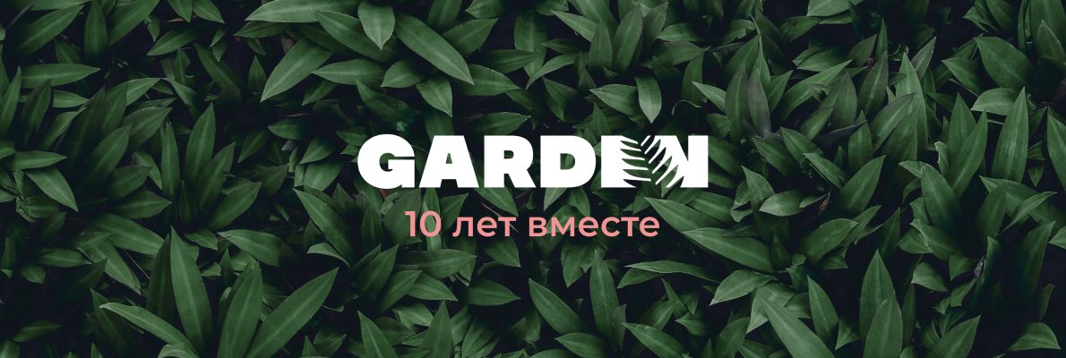 10 лет