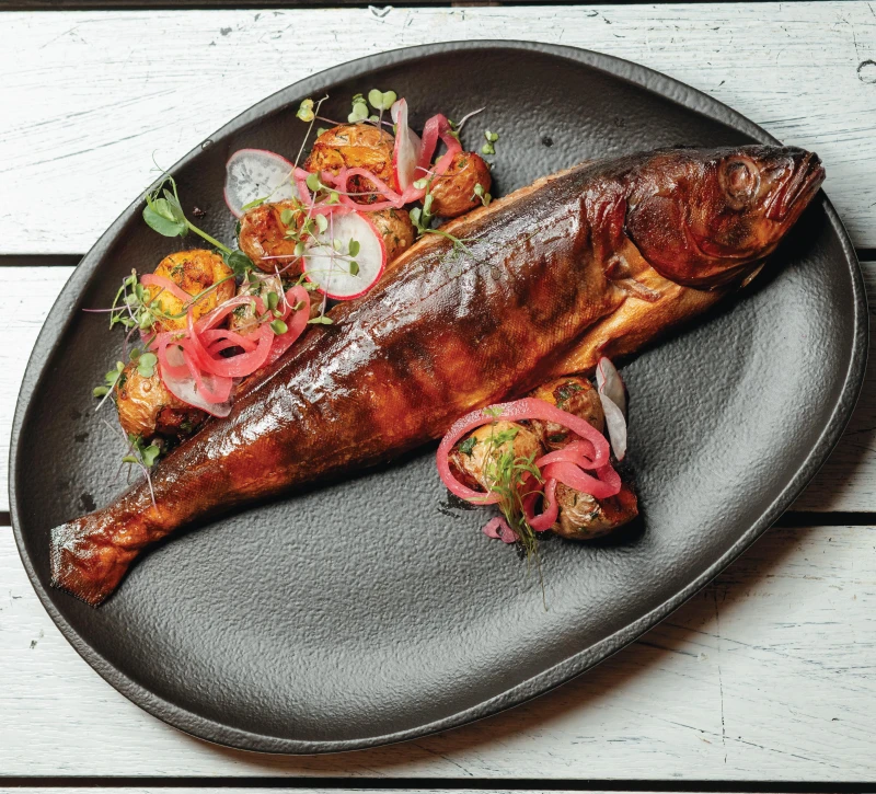 Камчатский терпуг