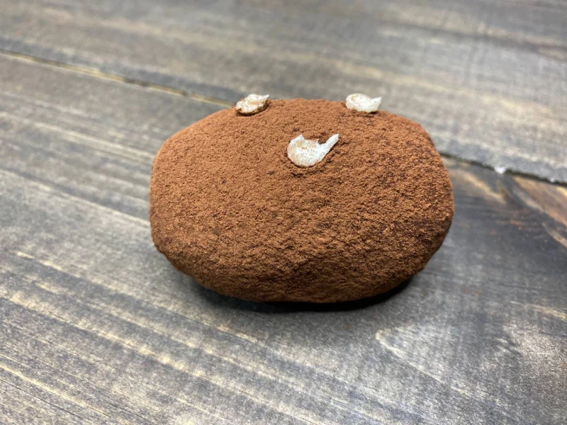 Пирожное "Картошка" 60 г