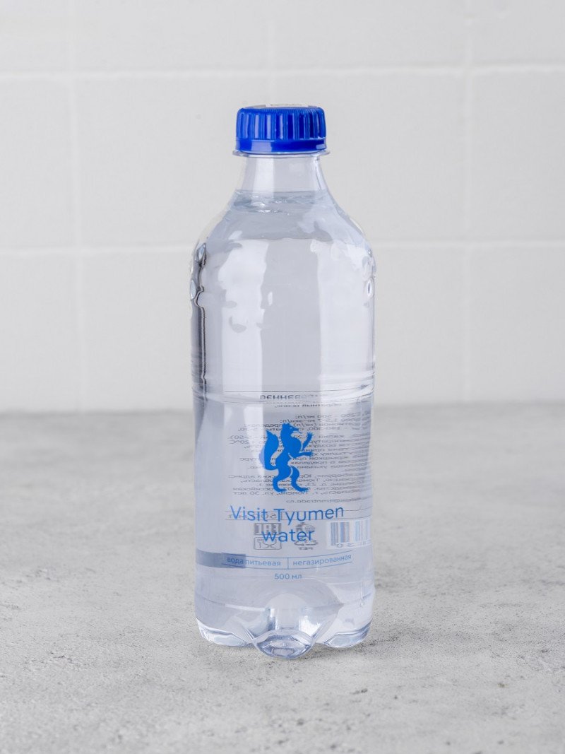 Вода питьевая негазированная 500мл