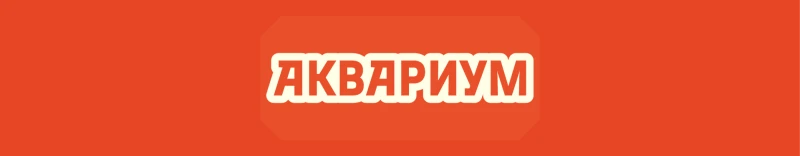 Аквариум