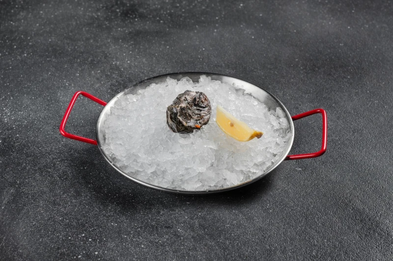 Дюжина Джоли