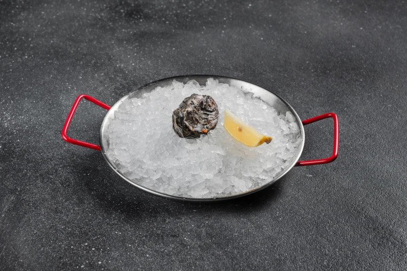 Устрица Розовая джоли