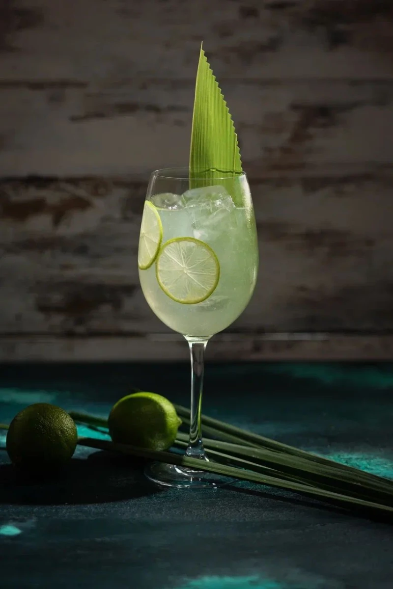 Лимонад Кактус & Юдзу