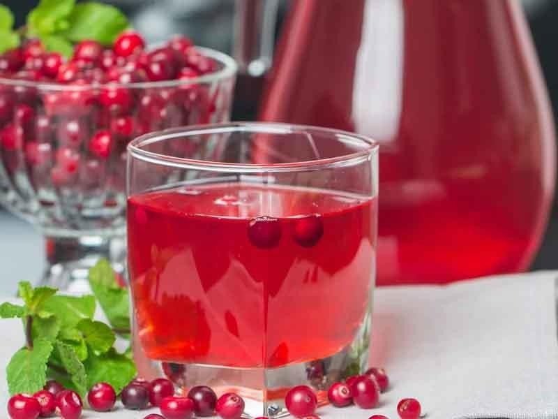 Морс Брусничный