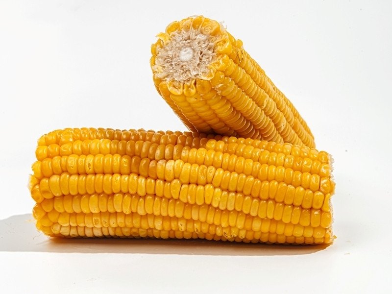 Кукуруза в парке 