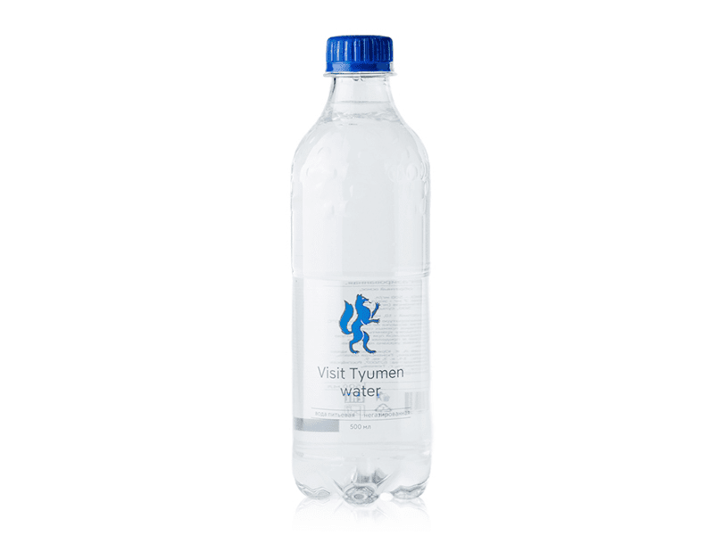 Вода Visit Tyumen б/г 0.5