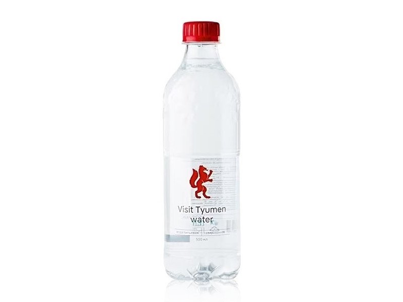 Вода Visit Tyumen газ.0.5