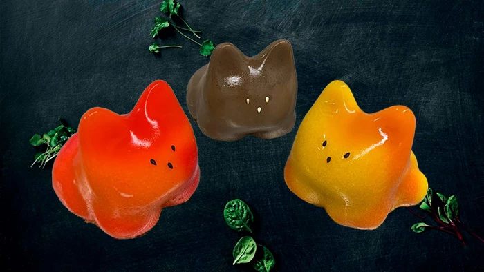 Желейный котик